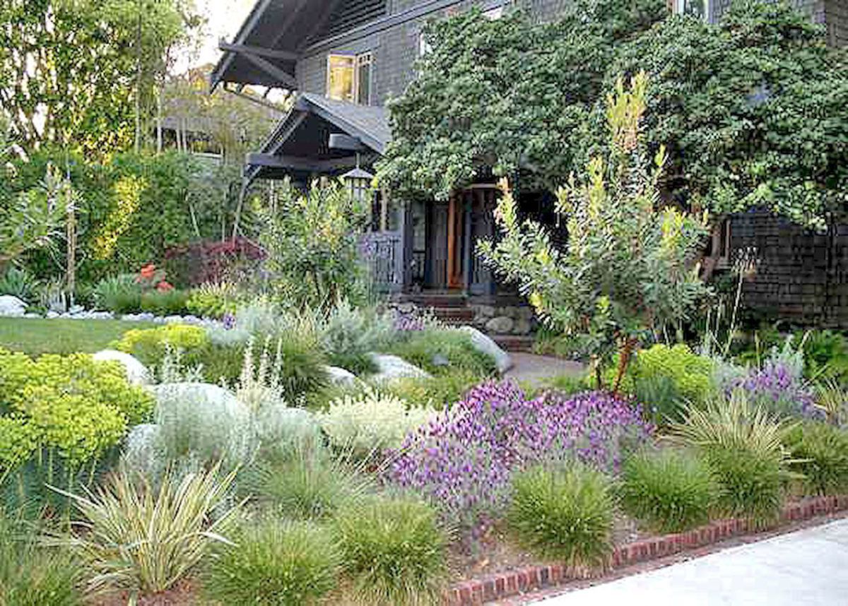 Using Native Plants in your Portland Garden