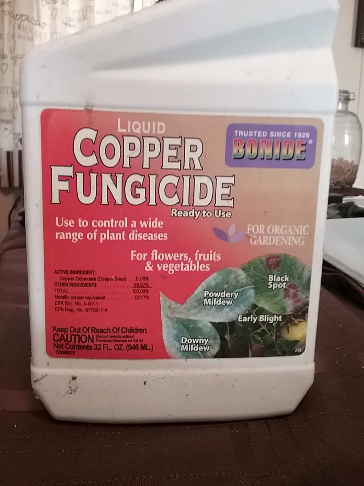 Apply dormant copper spray to peach and nectarine trees as leaves start dropping over the next two weeks. This single application prevents peach leaf curl, the disfiguring red blistered leaves that ruin Portland peach crops every May. Spray on a dry morning when no rain is expected for 24 hours, so Tuesday or Wednesday this week is the sweet spot.